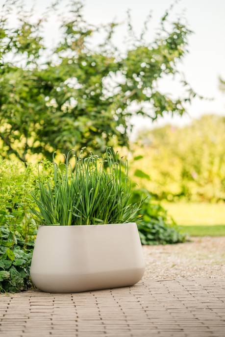 pure cone long wheels 75 greige